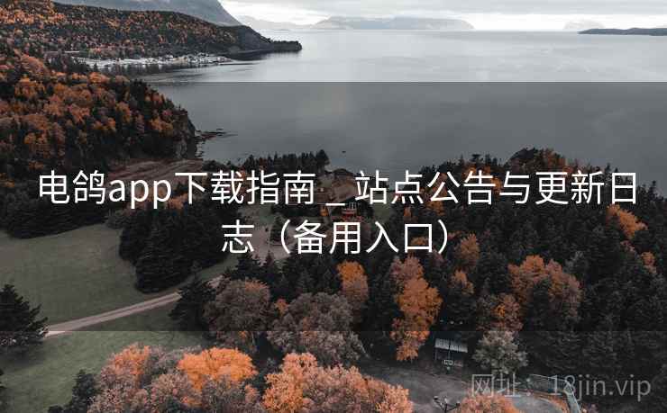 电鸽app下载指南 _ 站点公告与更新日志（备用入口）