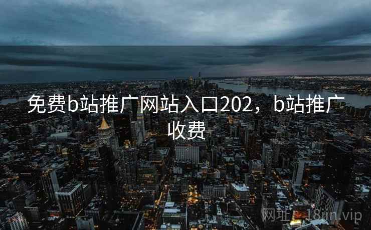 免费b站推广网站入口202，b站推广收费